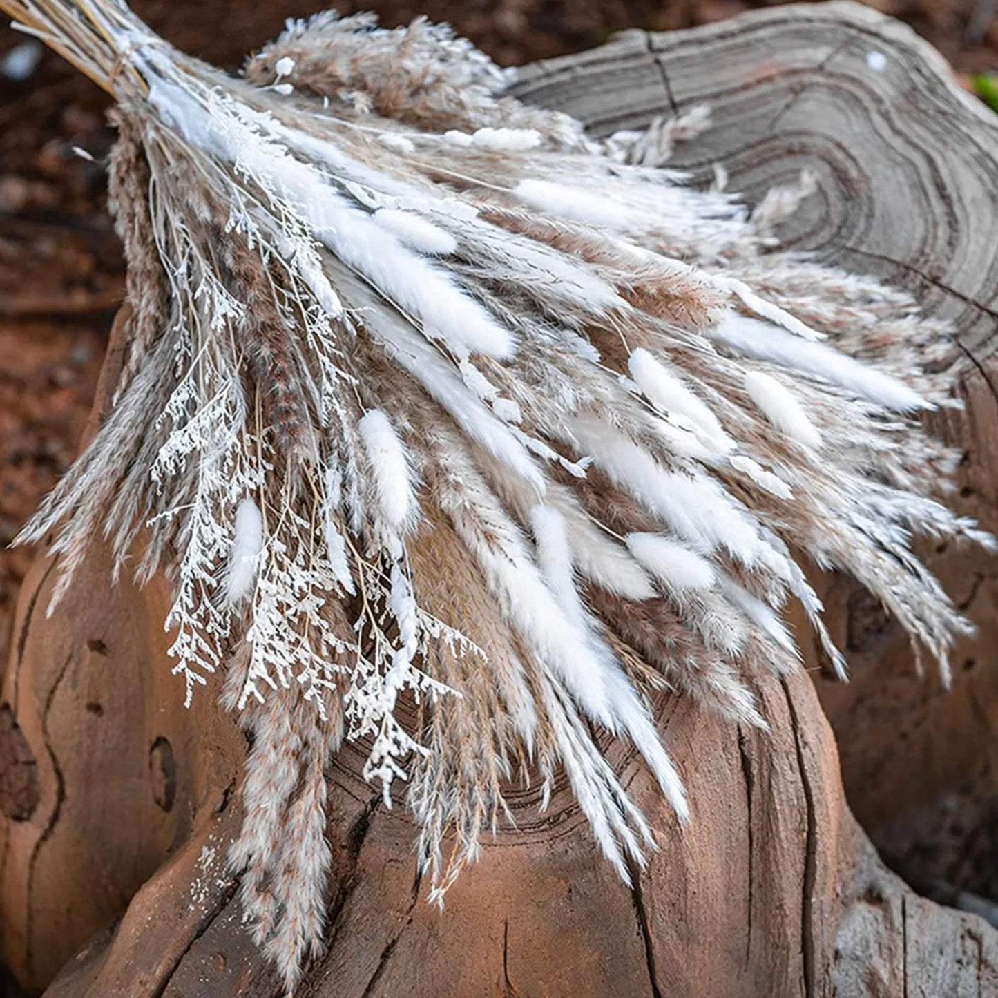 Natural White Pampas Grass – Boho Wedding Centerpiece & Home Décor, Dried Flower Arrangement Gift