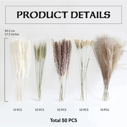 Natural White Pampas Grass – Boho Wedding Centerpiece & Home Décor, Dried Flower Arrangement Gift