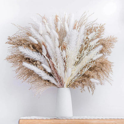 Natural White Pampas Grass – Boho Wedding Centerpiece & Home Décor, Dried Flower Arrangement Gift